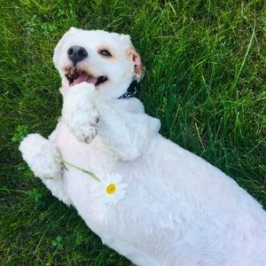 Meet your Posher, Chantal